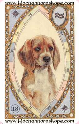 Der Hund, Wochenhoroskop