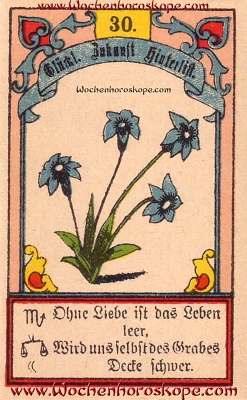 Die Lilien im Wochenhoroskop für diesen Tag